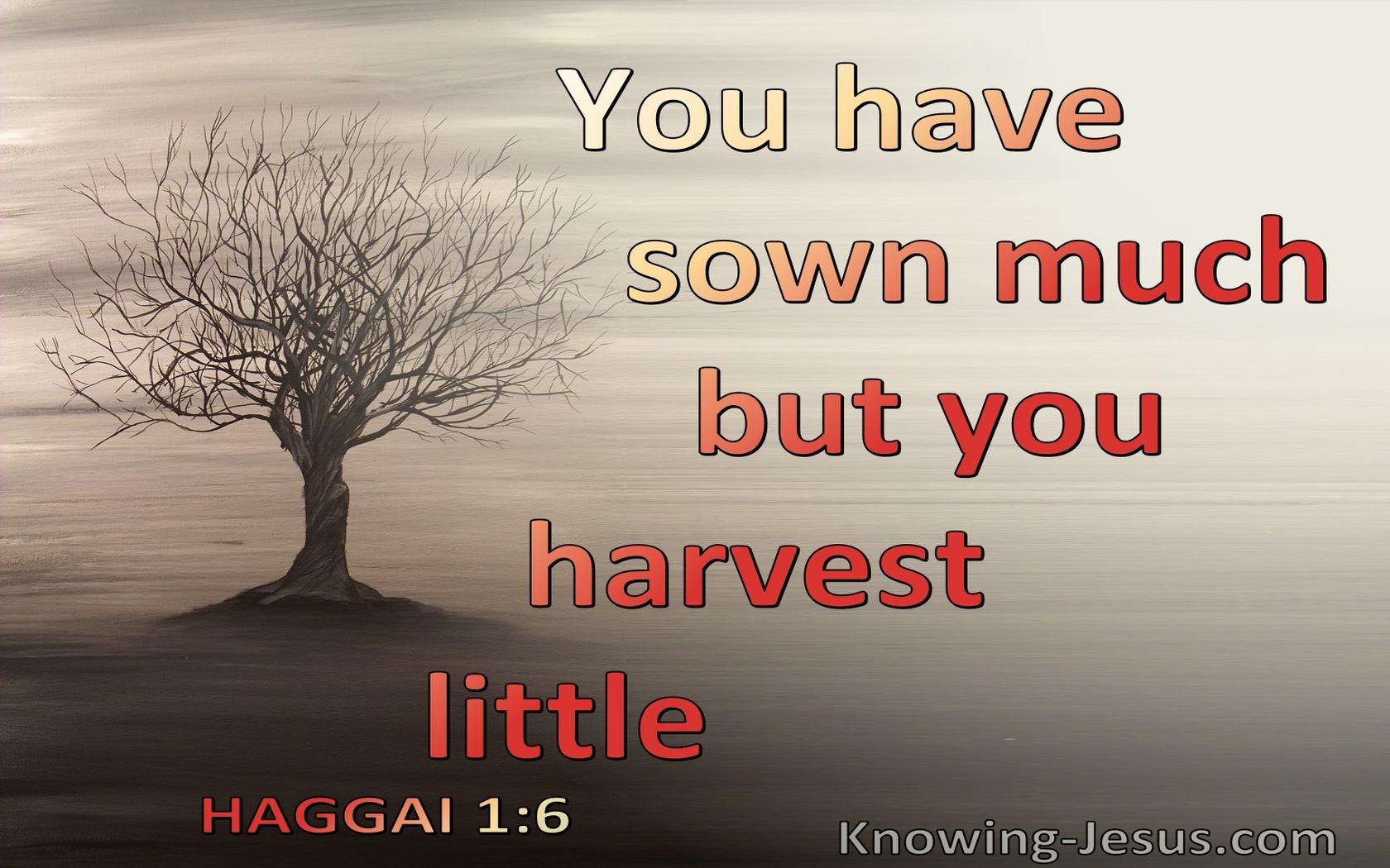 Haggai 1:6 Your Sow Much But Harvest Little (gray)
